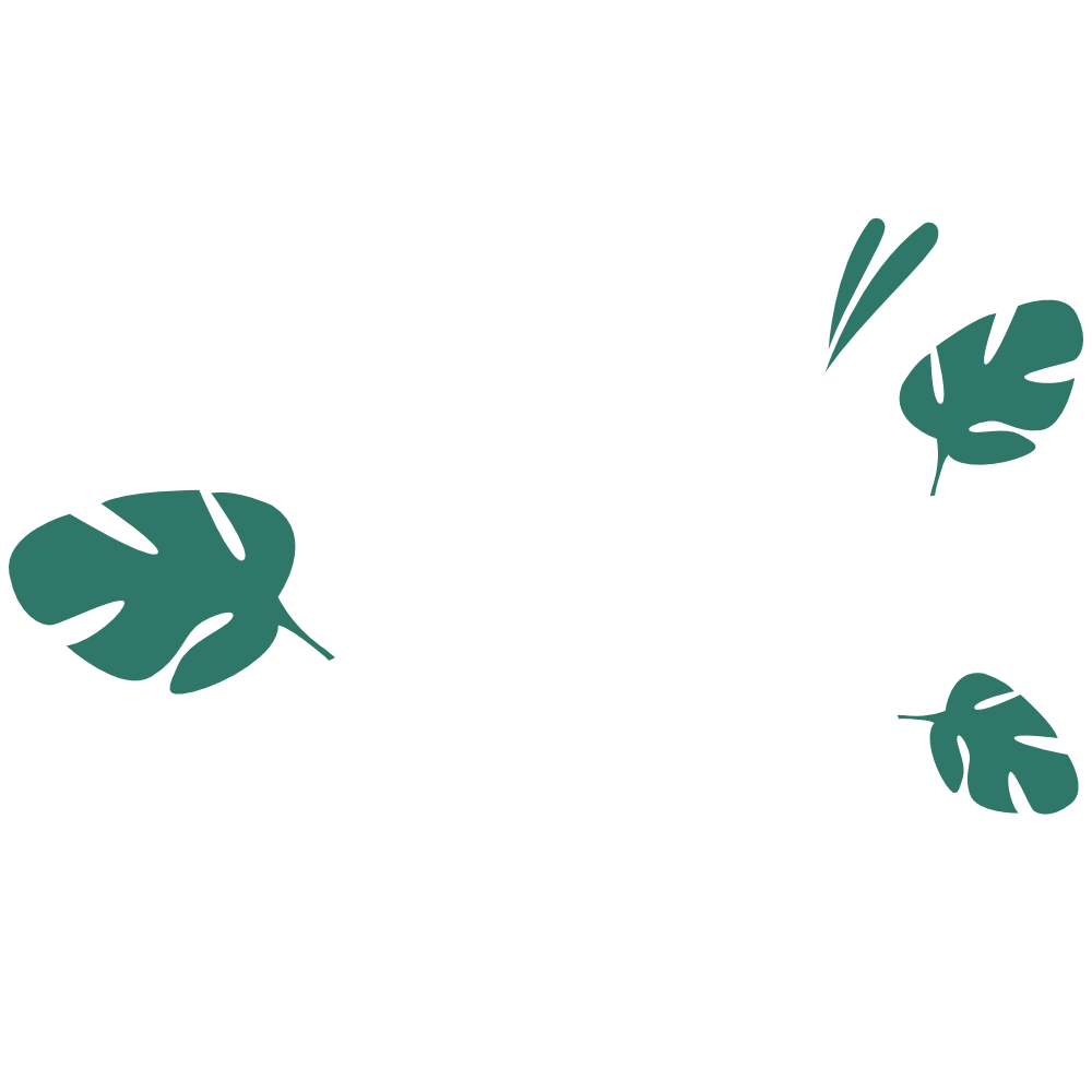 Agência Weber - Web Design e Marketing Digital